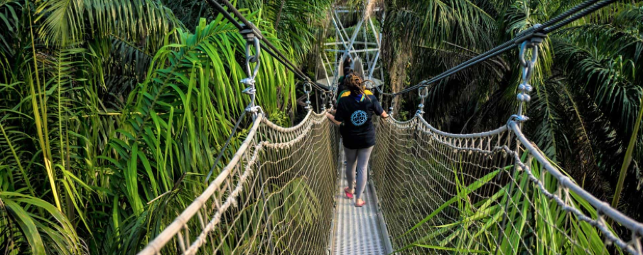 레키 컨저베이션 센터