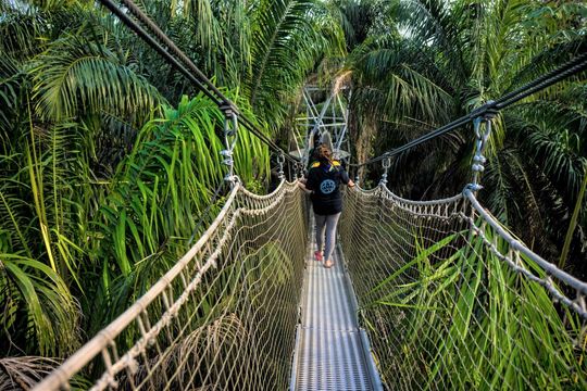 Lekki Conservation Centre