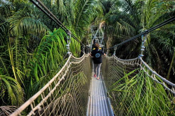 Lekki Conservation Centre