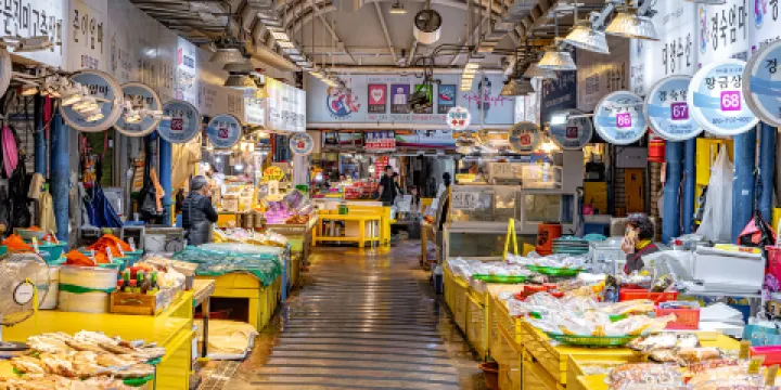 濟州東門市場