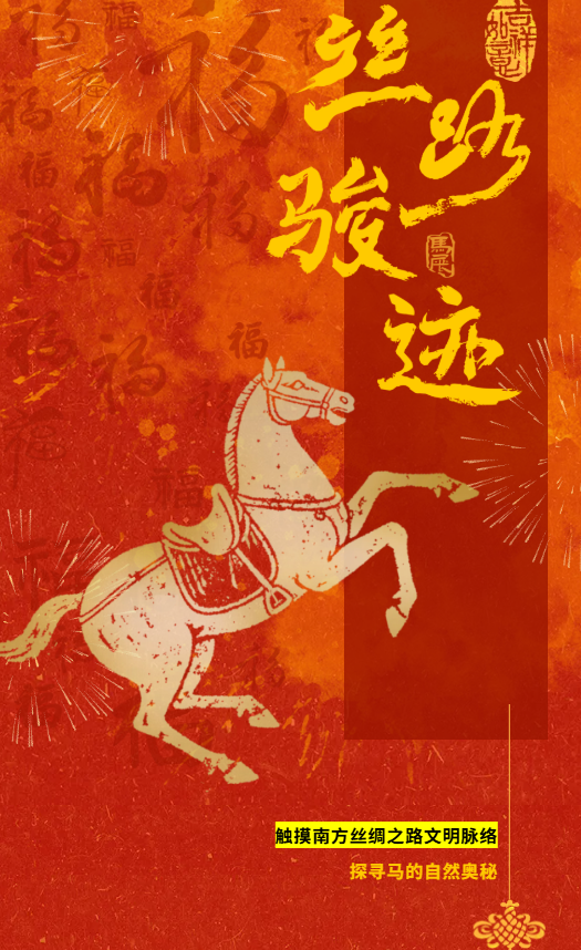 《絲路駿跡》觸摸南方絲綢之路文明脈絡 | 成都自然博物館