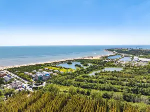 Rizhao Coastal National Forest Park