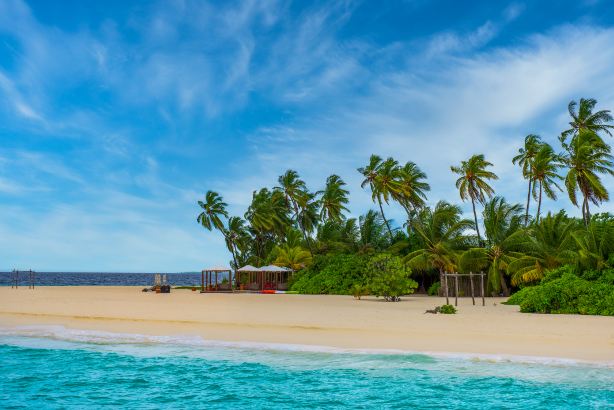 Furanafushi