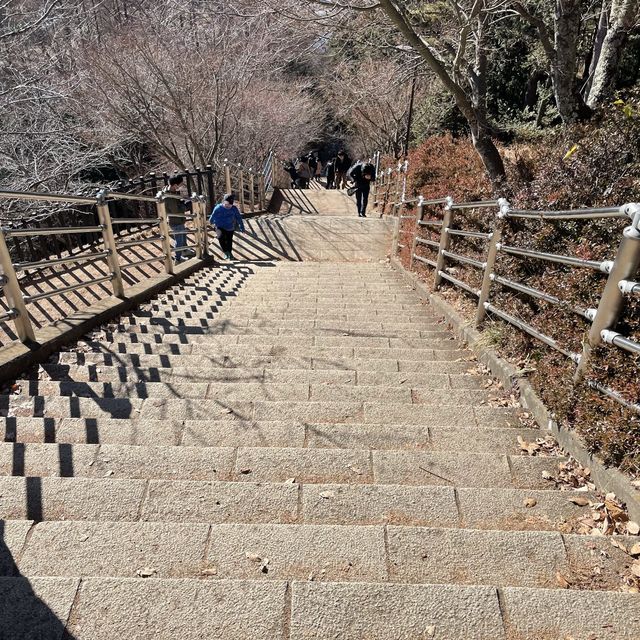 富士山と五重塔   新倉富士浅間神社 