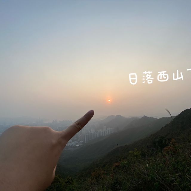 簡單行山路線 I #飛鵝山觀景台 I 最佳香港 日落美景 