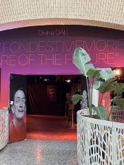 Divina Dali Exhibit