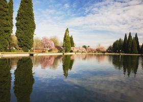 American Airlines flights to Portland