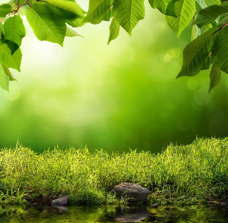 Tingjiang National Wetland Park