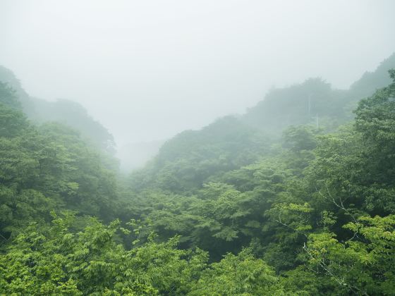 鬥岩風景區