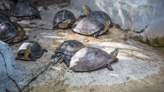 馬尼拉動植物園