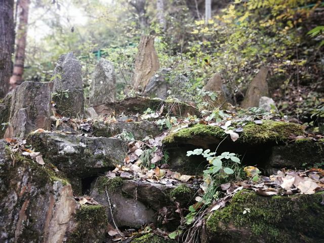 黃柏原