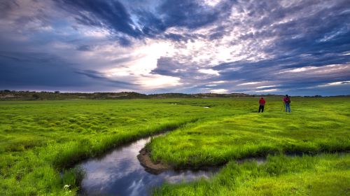 Xilingol Grassland