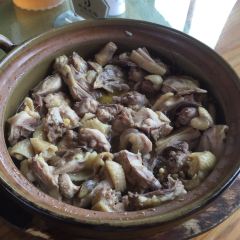 地派食為先·龍門鬍鬚雞（地派美食店）張用戶圖片