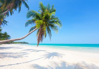 Surin Beach