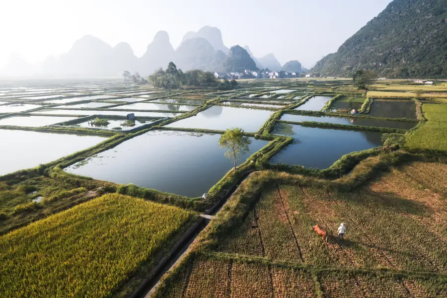 Huixian Wetland