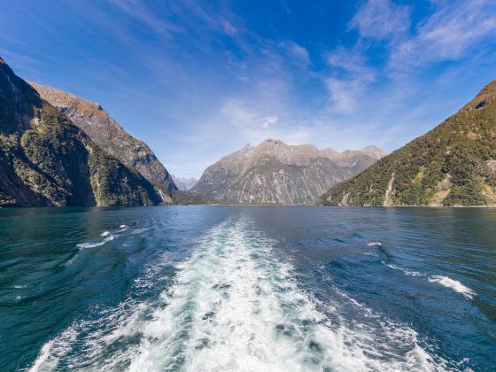 Doubtful Sound / Patea