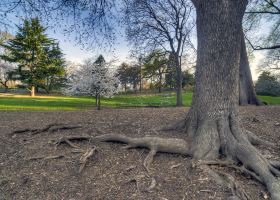 Hotels near Centennial Park