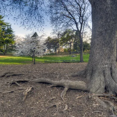 โรงแรมใกล้Queens Road Reserve