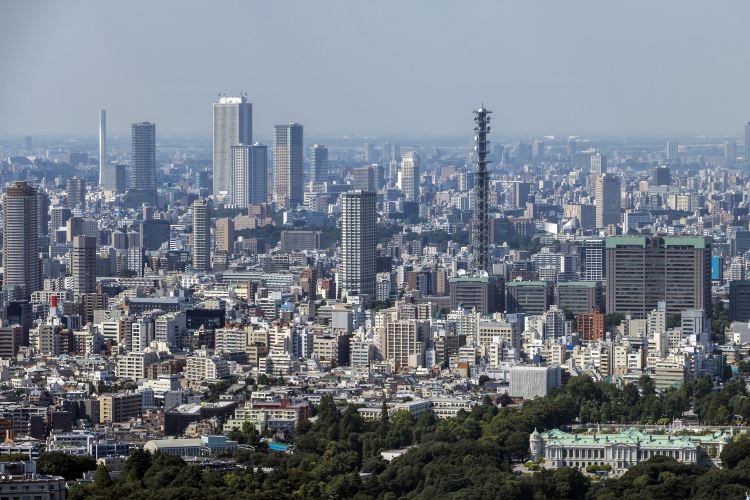 新宿エリア|観光もグルメも楽しみやすい