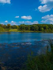 昆陽池公園