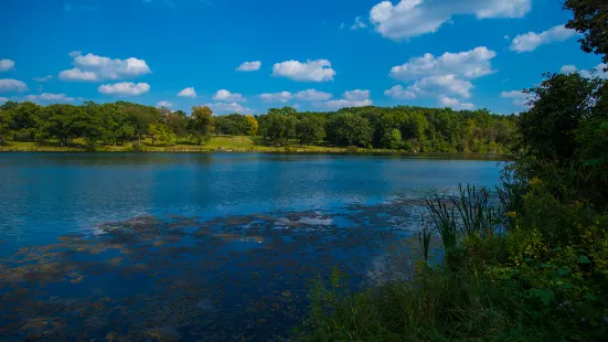 Koyaike Park