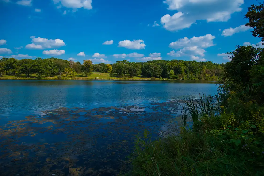 Hotels near Koyaike Park