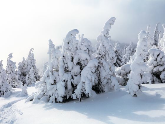 歐娜斯山滑雪中心