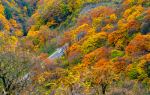 龍頭山國際旅遊度假區