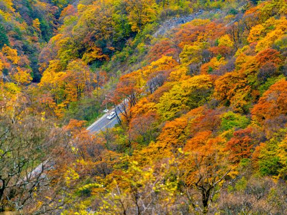 Longtou Mountain Scenic Spot