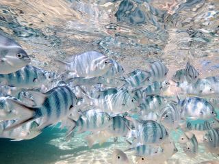 욤진다 워킹스트리트 근처 호텔