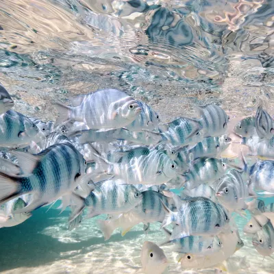 Отели рядом с достопримечательностью «Ao Noi Na»