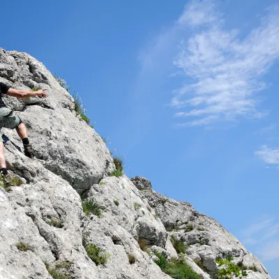 Авиабилеты Сент-Джонс Эдмонтон