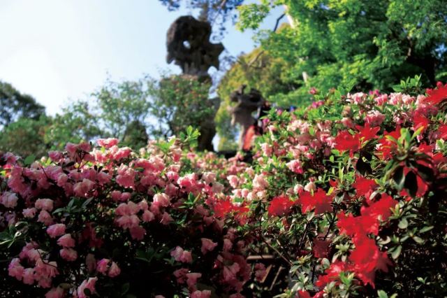 Lion Forest Garden