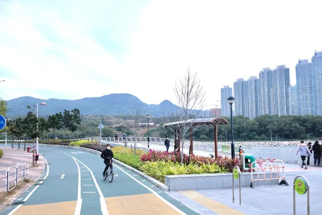 【踩單車好去處】20258條踩單車路線推介  少人、有海景、新手學踩單車地方 