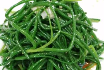 Afangbashang Restaurant (zhangbeizong) 여행 사진