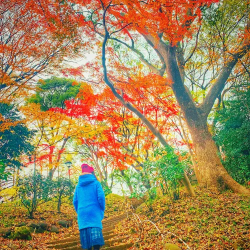 上野公園旅遊攻略指南 上野公園評論 上野公園附近推薦 Trip Com