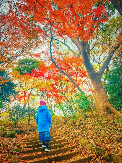 唔止係春季賞櫻 上野公園紅葉 動物園半日遊 Trip Com 東京