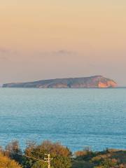 斜陽島