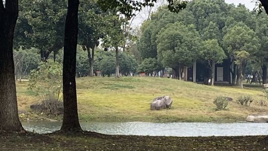 这个公园的特色呢，是有个标准的18洞飞盘高尔夫场地，在江浙沪