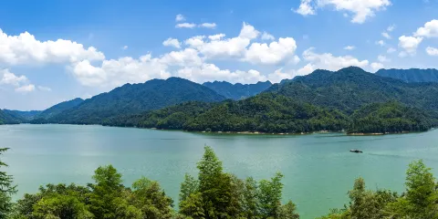 桃花江國家森林公園