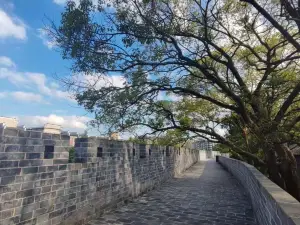 언장구청/은강고성