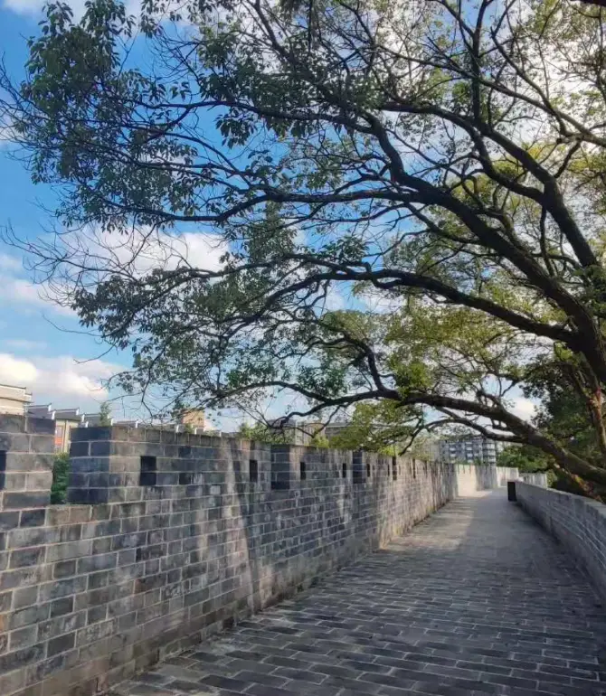 Yongfeng