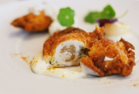 莫里哀用戶圖片