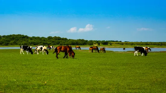 Dorbet Prairie