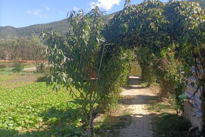 盐源县田园休闲农庄