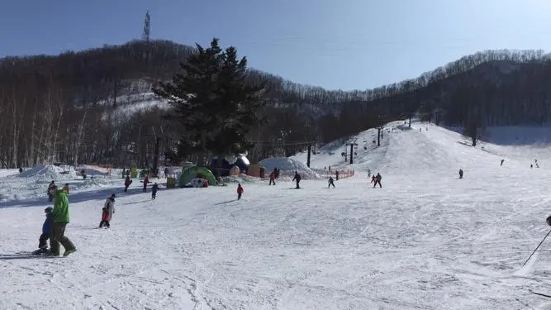 札幌的滑雪项目也只深受专业人士的喜爱，这处滑雪场也是一个国际