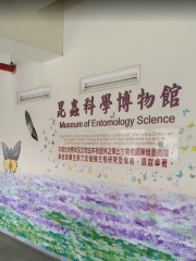 胡蝶宮昆虫科学博物館