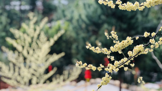 Fuan Langu Hot Spring Resort