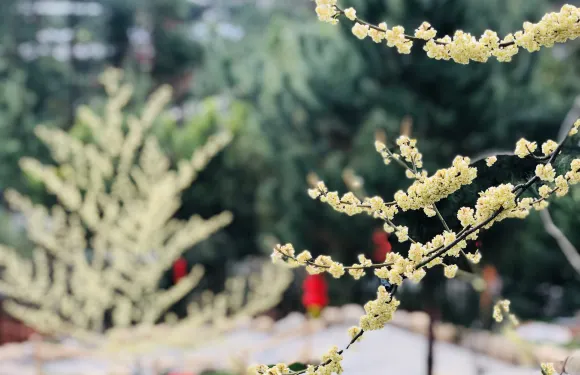 福安蘭谷温泉度假村門票家庭（2位成人+1位小童）