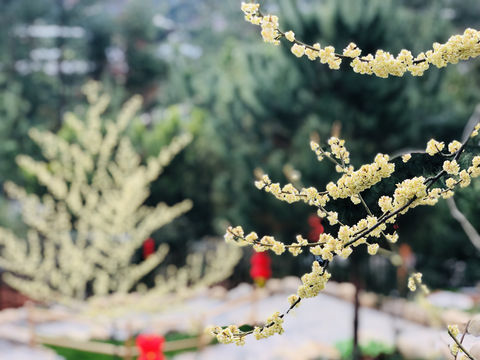 Fuan Langu Hot Spring Resort